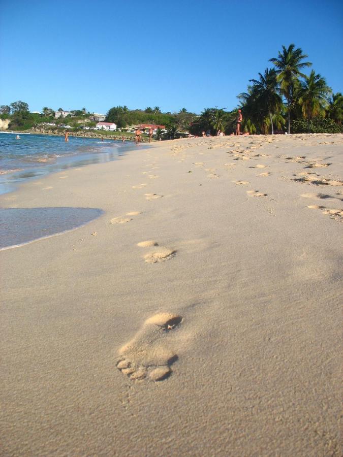 Vila Les Algues De La Chapelle Bleu Horizon Anse-Bertrand Exteriér fotografie